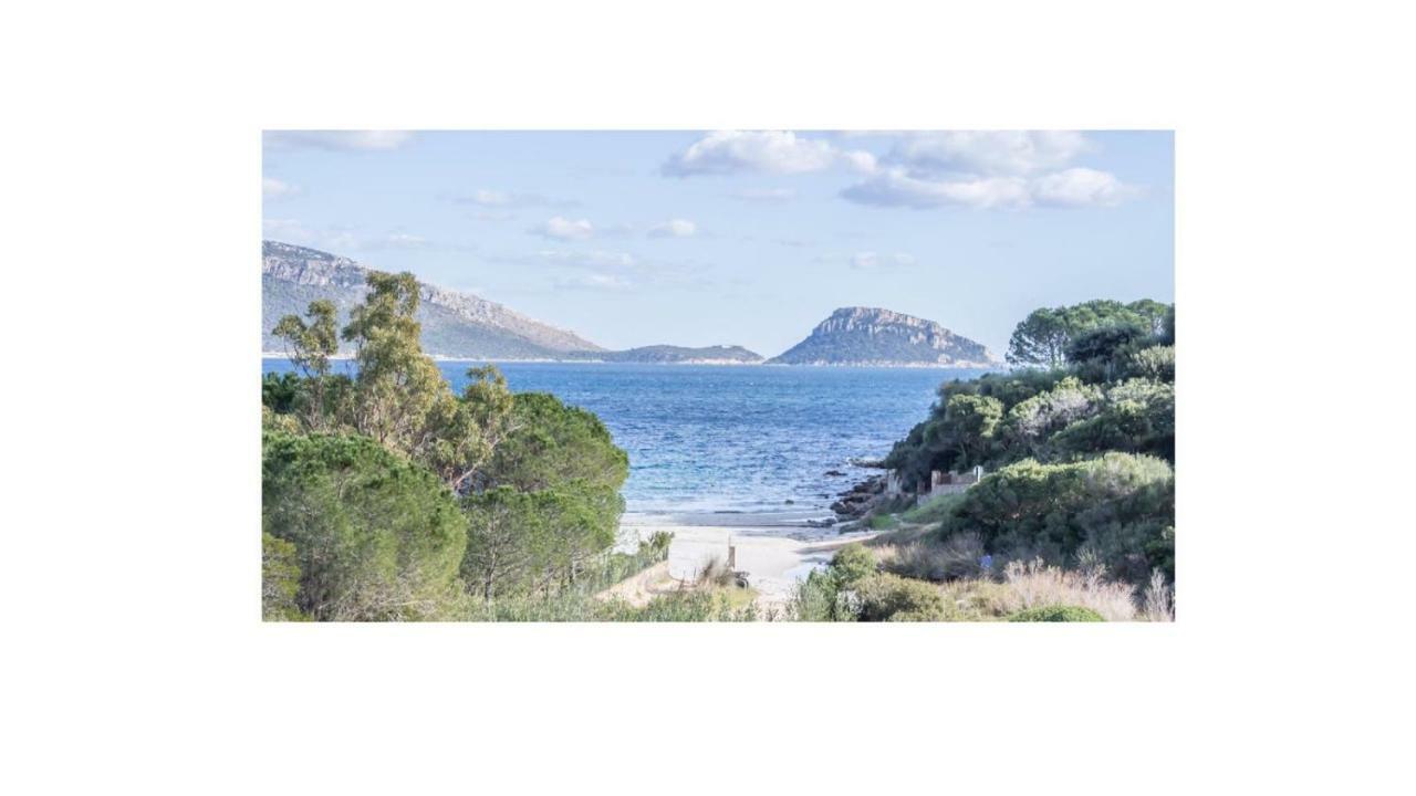 Villa Aranzos Golfo Aranci Exteriér fotografie