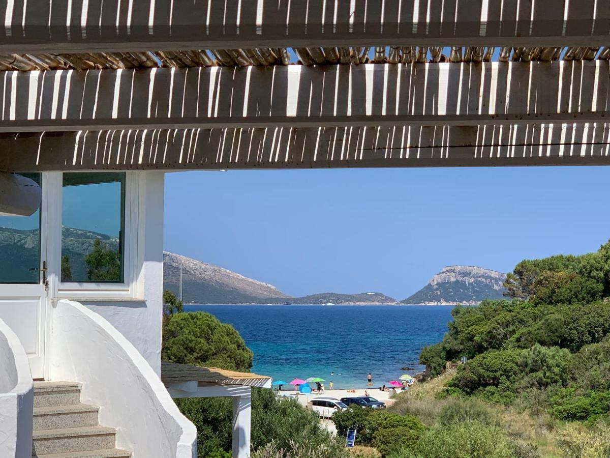 Villa Aranzos Golfo Aranci Exteriér fotografie