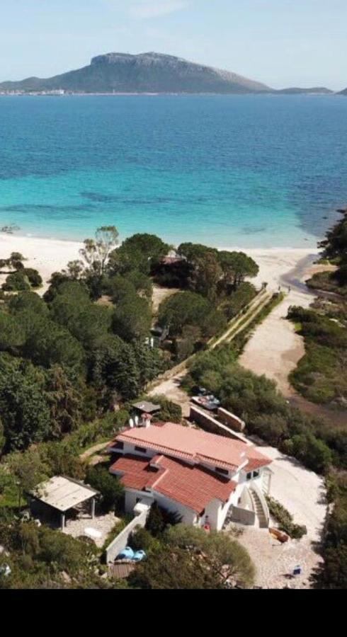 Villa Aranzos Golfo Aranci Exteriér fotografie