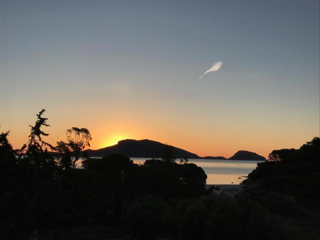 Villa Aranzos Golfo Aranci Exteriér fotografie