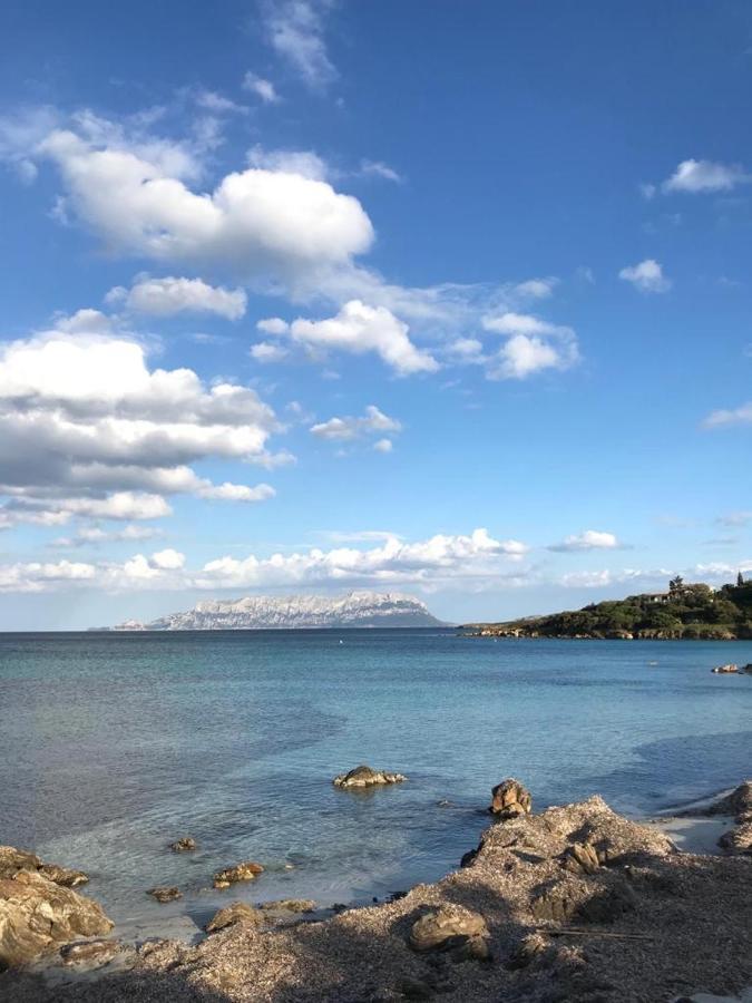 Villa Aranzos Golfo Aranci Exteriér fotografie